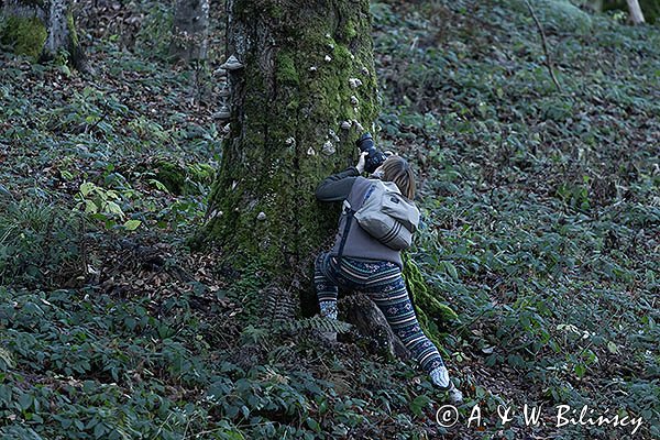 Fotograf przyrody przy pracy, Bieszczadzki Park Narodowy