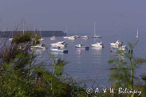 jachty i motorówki na bojach w porcie Braye na wyspie Alderney, Channel Islands, Anglia, Wyspy Normandzkie, Kanał La Manche
