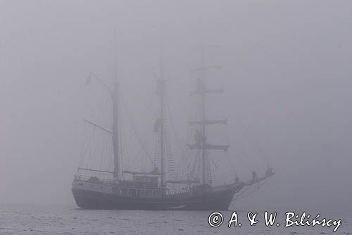 statek widmo żaglowiec we mgle, wyspa Alderney, Channel Islands, Anglia, Wyspy Normandzkie, Kanał La Manche