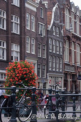 rowery nad kanałem, Amsterdam, Holandia