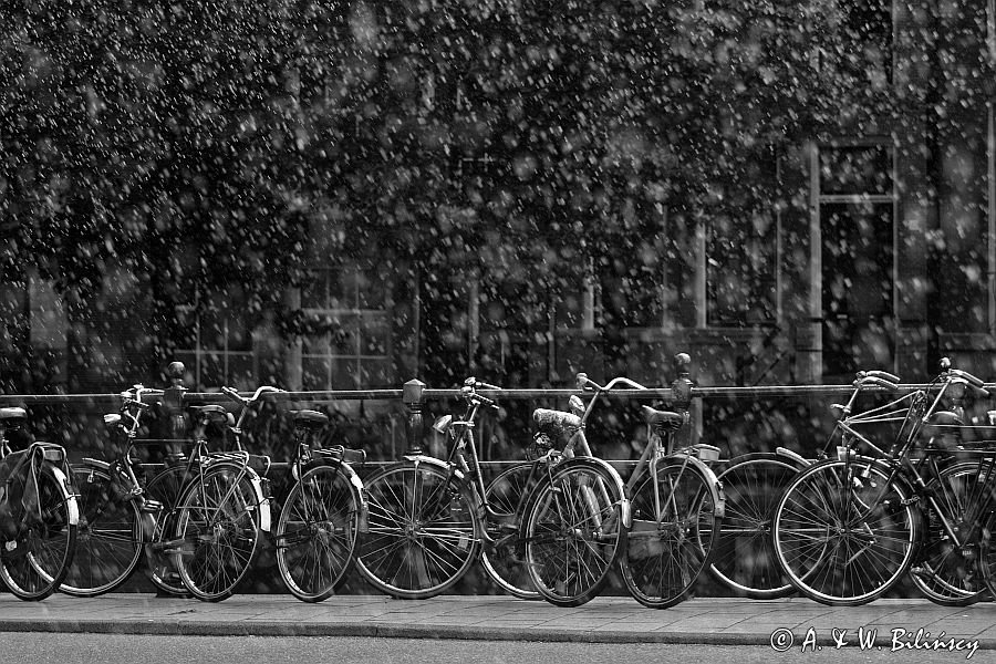 w deszczu, rowery nad kanałem, Amsterdam, Holandia