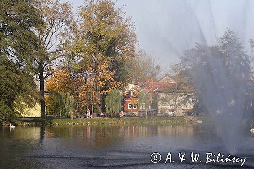 Andrychów, fontanna w parku miejskim, Beskid Mały