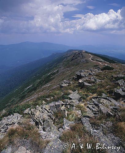 Babia Góra, Babiogórski Park Narodowy