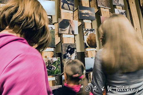 Wernisaż wystawy powarsztatowej gimnazjalistów Młodzi aktywni i kreatywni, GDK Czarna, Bieszczadzka Akademia Fotografii