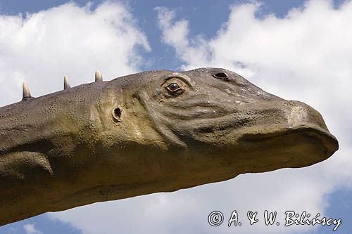 Bałtów, JURAPark, Dino-park