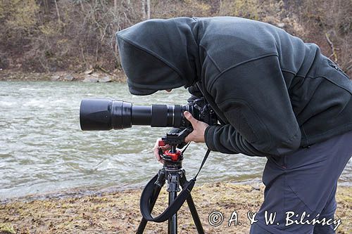 Fotografowanie nad Sanem, praca z głowicą Uniqball, Bieszczady Dniem i Nocą, Bieszczady, głowica fotograficzna Uniqball