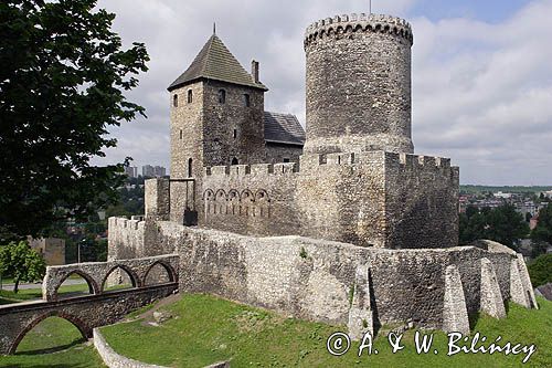 Będzin, zamek królewski, Górny Śląsk