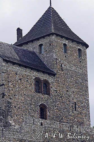 Będzin, zamek królewski, Górny Śląsk