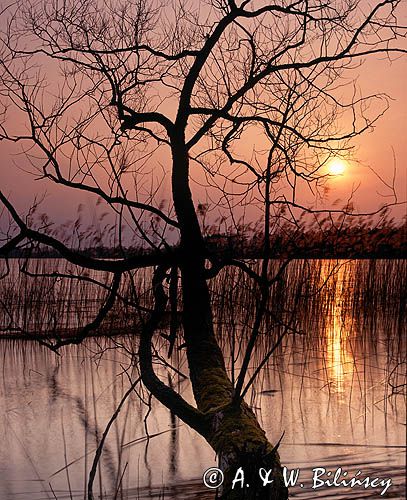 Jezioro Bełdany, Mazurski Park Krajobrazowy