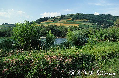 Beskid Sądecki nad Popradem