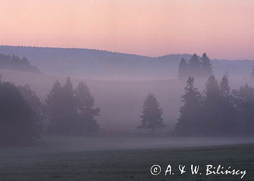 Beskid Sądecki o świcie