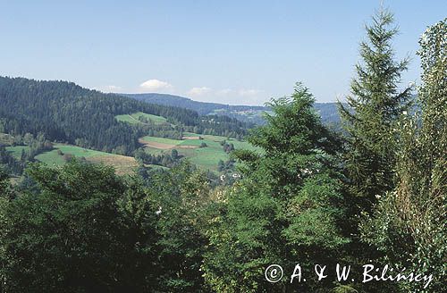 Beskid Śląski