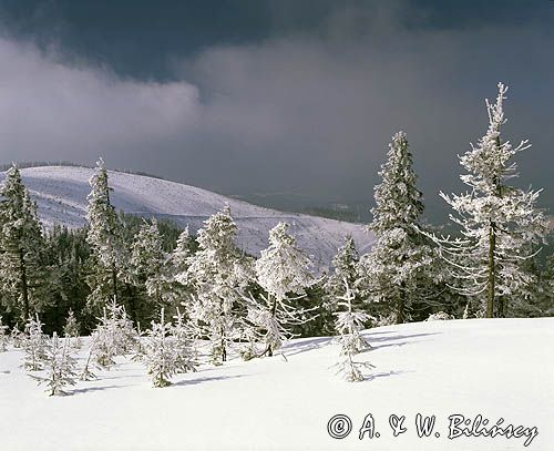 Beskid Śląski, Skrzyczne