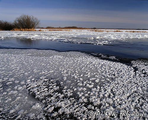 rzeka Biebrza zimą, Biebrzański Park Narodowy
