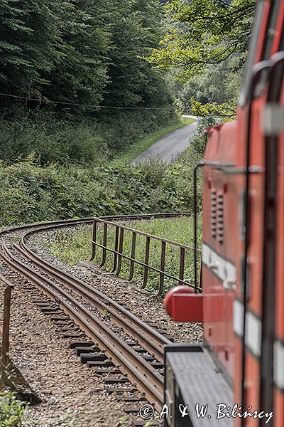 Bieszczadzka Kolejka Leśna, Bieszczadzka Kolejka Wąskotorowa na trasie Majdan - Balnica