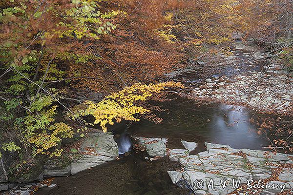 Potok Nasiczniański, Bieszczady