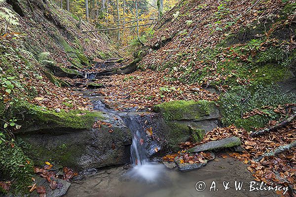 Jesień, Bieszczady, potok