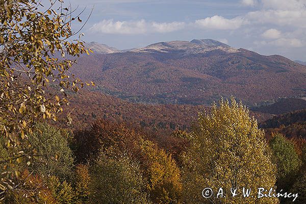 Jesień z widokiem na Tarnicę, Bieszczady