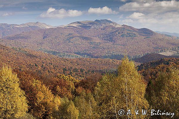 Jesień z widokiem na Tarnicę, Bieszczady