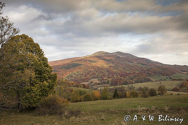 Jesień spod Rawek, widok na Tarnicę, Bieszczady