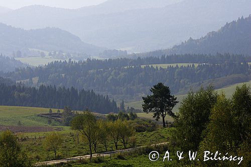Bieszczady, panorama gór, widok znad Lutowisk