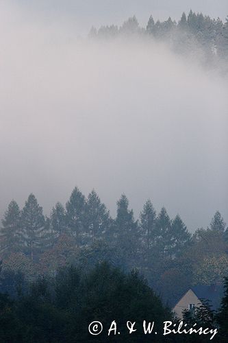 mgły nad żukowem, dolina żłobka, Bieszczady