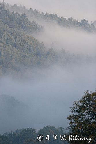 mgły nad żukowem, dolina żłobka, Bieszczady