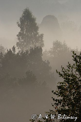 Bieszczady świcie w mgłach