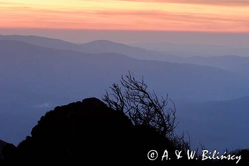 na Połoninie Wetlińskiej, Bieszczady