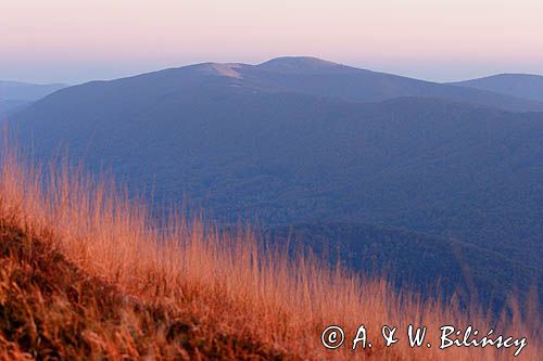 na Połoninie Wetlińskiej, Rawki w tle, Bieszczady