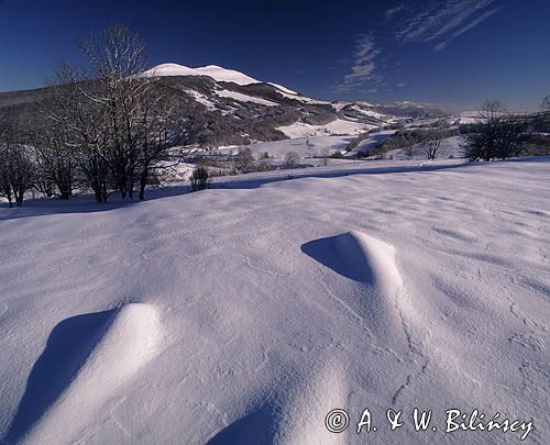 widok na Połoninę Caryńską, Bieszczady