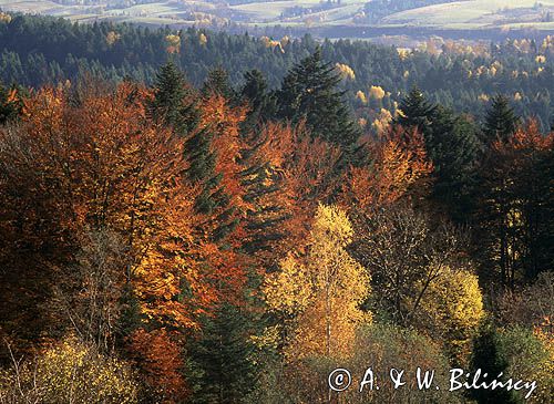 jesień w Bieszczadach