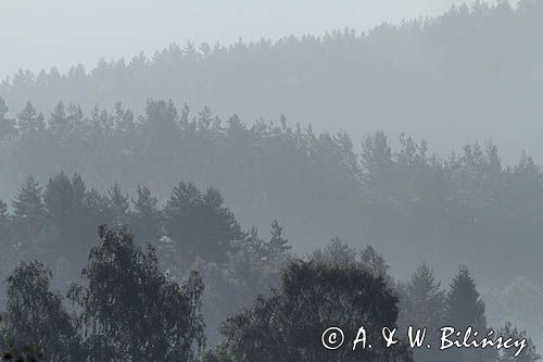 w paśmie żuków, Bieszczady