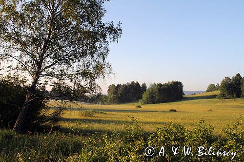 łąka koło Czarnej, Bieszczady