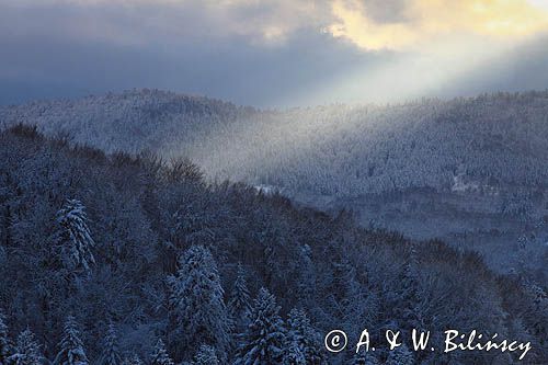 Polana Ostre, Rosochate i Otryt, widok z punktu widokowego na Ostrem, Bieszczady