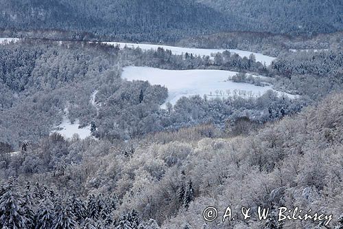 Polana Ostre, Rosochate pod Otrytem, widok z punktu widokowego na Ostrem, Bieszczady