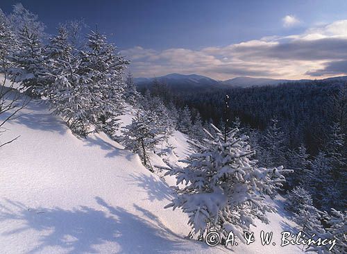 Bieszczady Dwernik Kamień