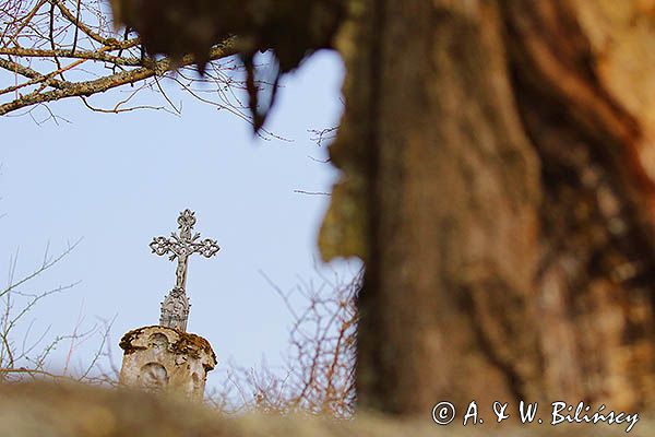 Krzyż w opuszczonym przysiółku Harwaty w Bieszczadach