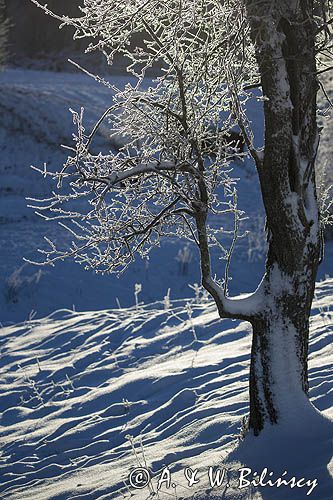 Zima, szadź, Bieszczady