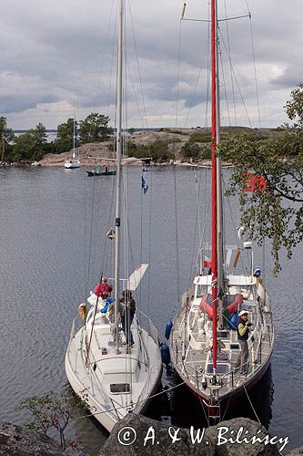 Safran i Epoka w zatoczce przy wyspie Biskopson, Szkiery Szwedzkie, Archipelag Sztokholmski, Szwecja