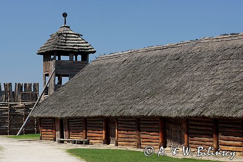 Biskupin muzeum archeologiczne gród