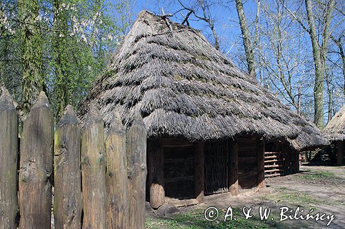 Biskupin muzeum archeologiczne gród