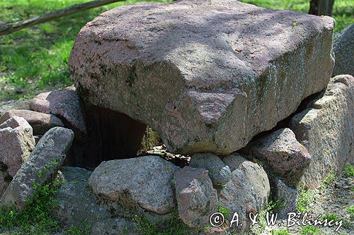 Biskupin muzeum archeologiczne grobowiec