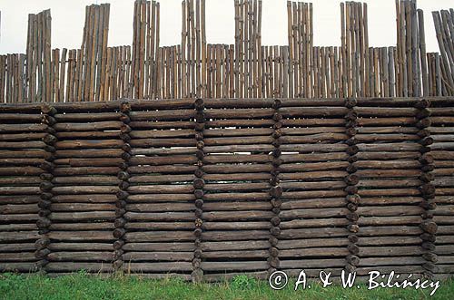 Biskupin mur obronny, palisada, skansen, muzeum archeologiczne