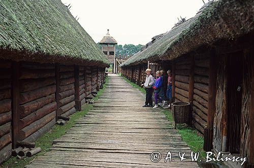 Biskupin skansen, muzeum archeologiczne