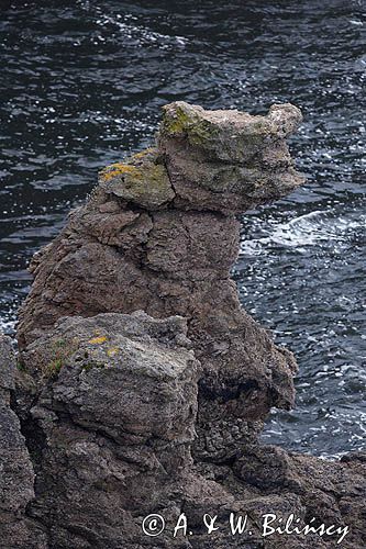 skała 'Wielbłąd' koło Hamerhus, wyspa Bornholm, Dania