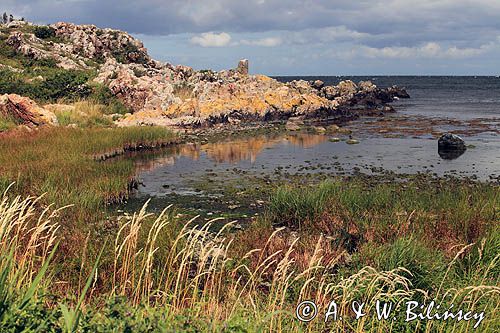 wybrzeże koło Gudhjem, Bornholm, Dania