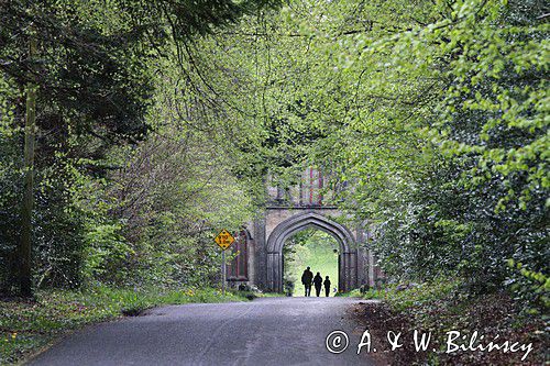 droga do Boyle z bramą, rejon Górnej Shannon, Irlandia