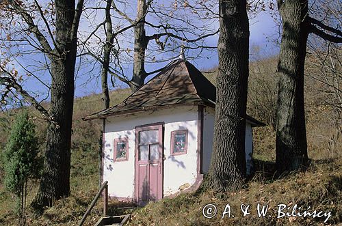 Brelików Góry Słonne, Park Krajobrazowy Gór Słonnych, kapliczka przydrożna