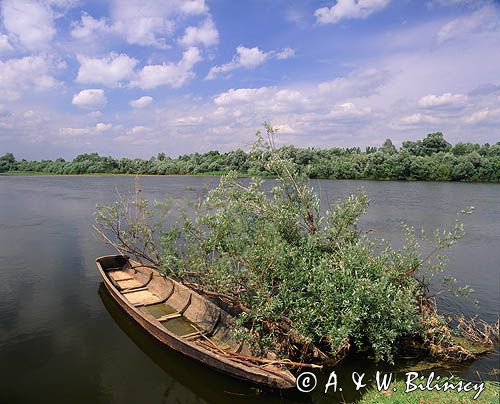 rzeka Bug, Park Krajobrazowy Podlaski Przełom Bugu, pychówka, łódka